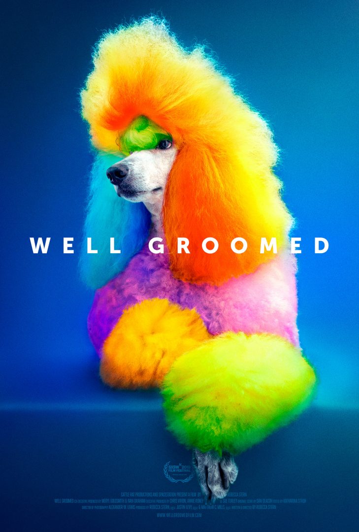A multicolored poodle poses in front of a blue background. Text readsWell Groomed.