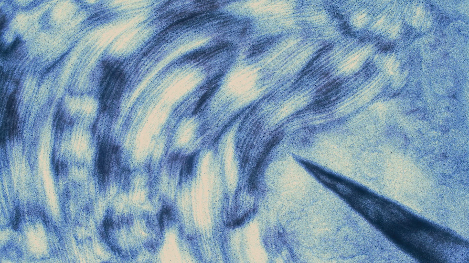 2021 Film Program Slamdance