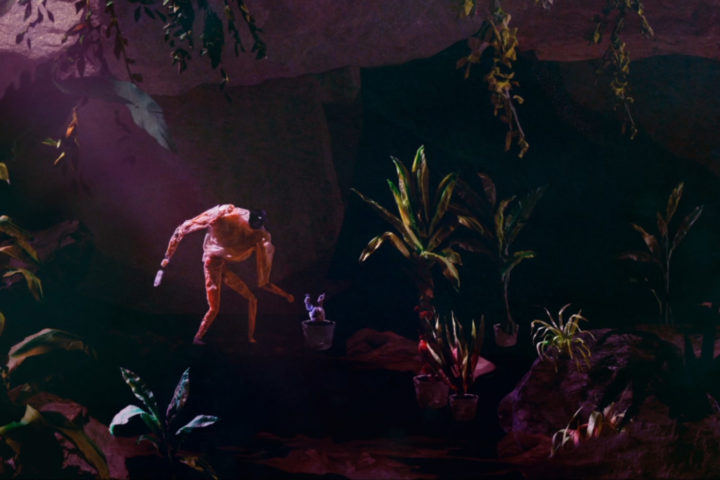 Plantarium