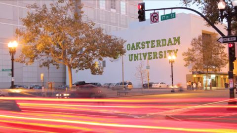 American Pot Story: Oaksterdam