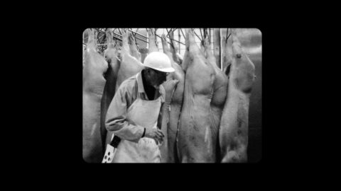 Fleshwork